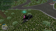 IMG-6396