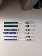 666325C3-5E3E-4478-AD0C-58203981D697