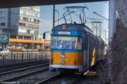 IMG-5233