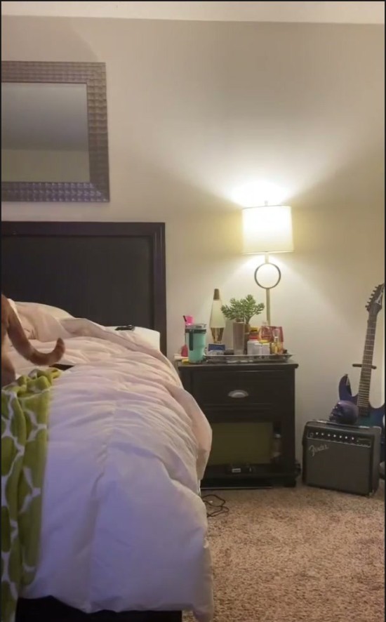 [Image: Voyeur52445095527.jpg]