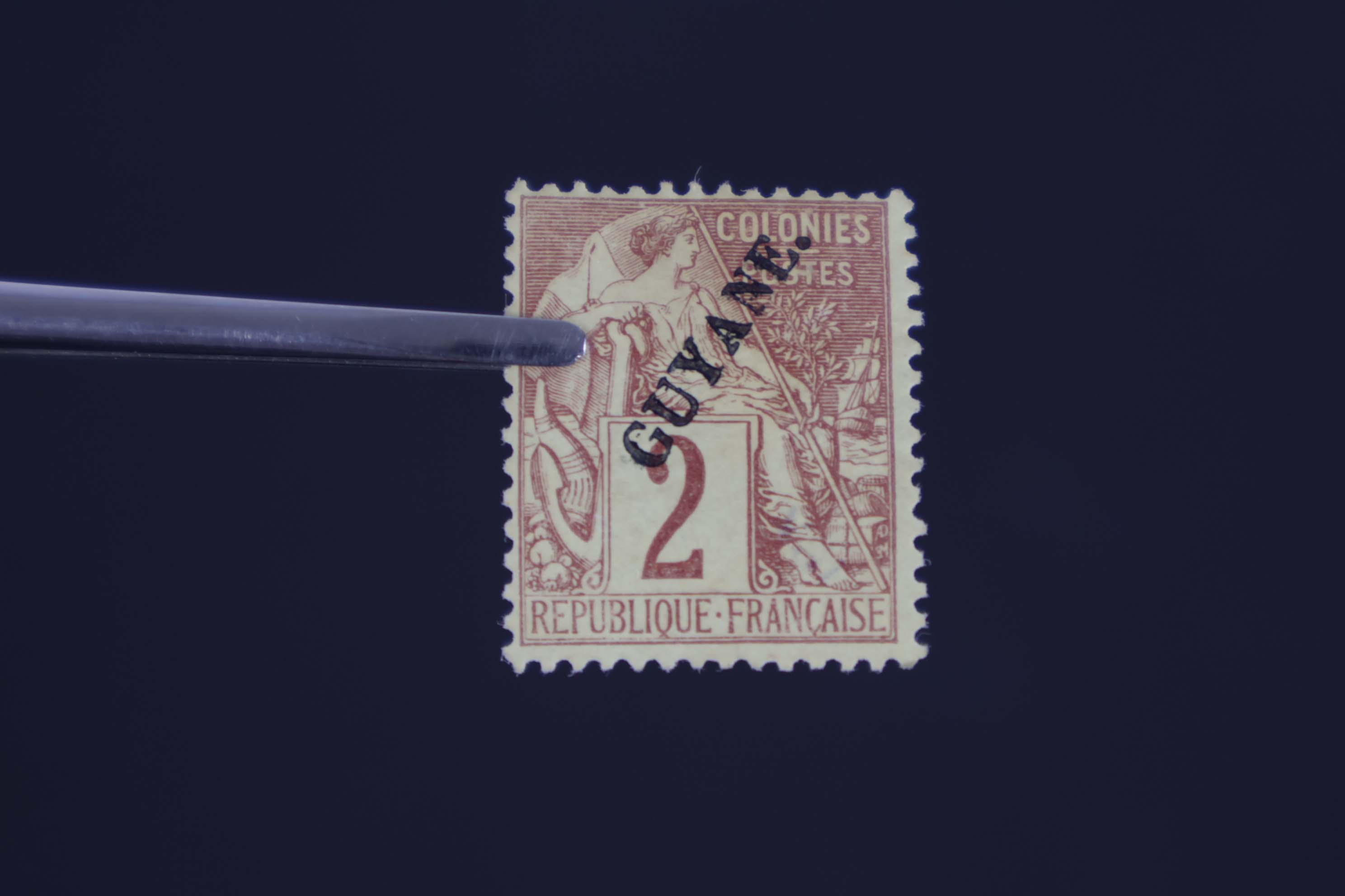IMG-2873