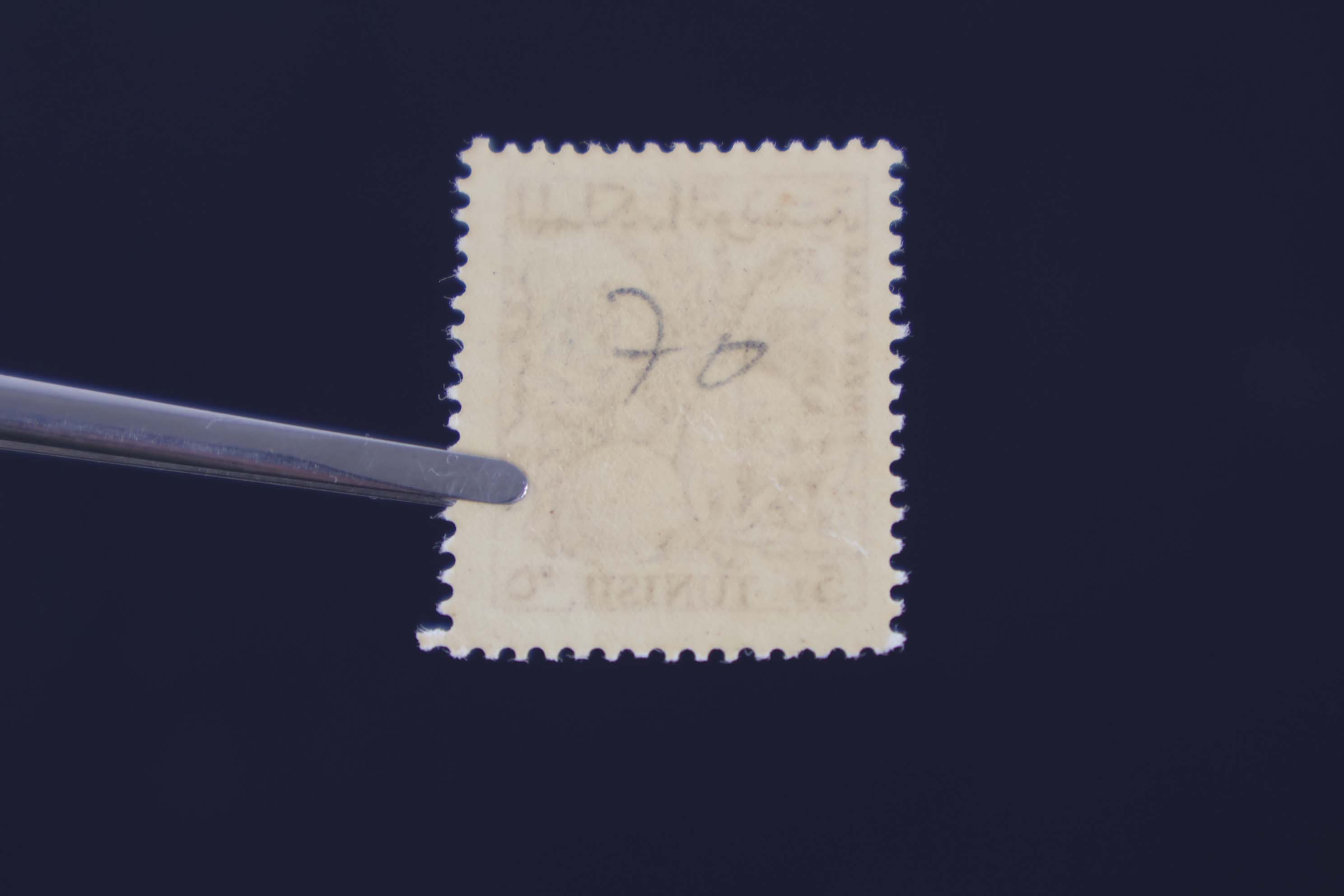 IMG-6425-1-(3)