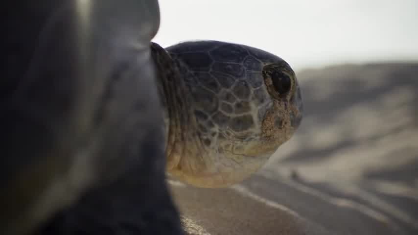 [Image: 68kdacceim70.jpg]