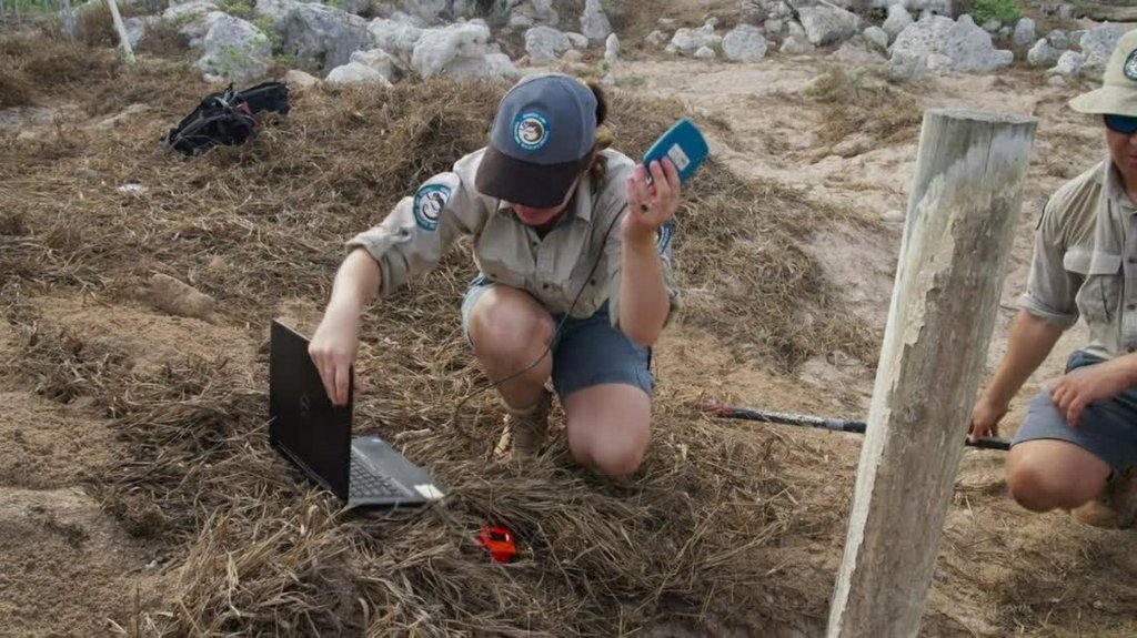 [Image: v3p1kmaj6d7b.jpg]