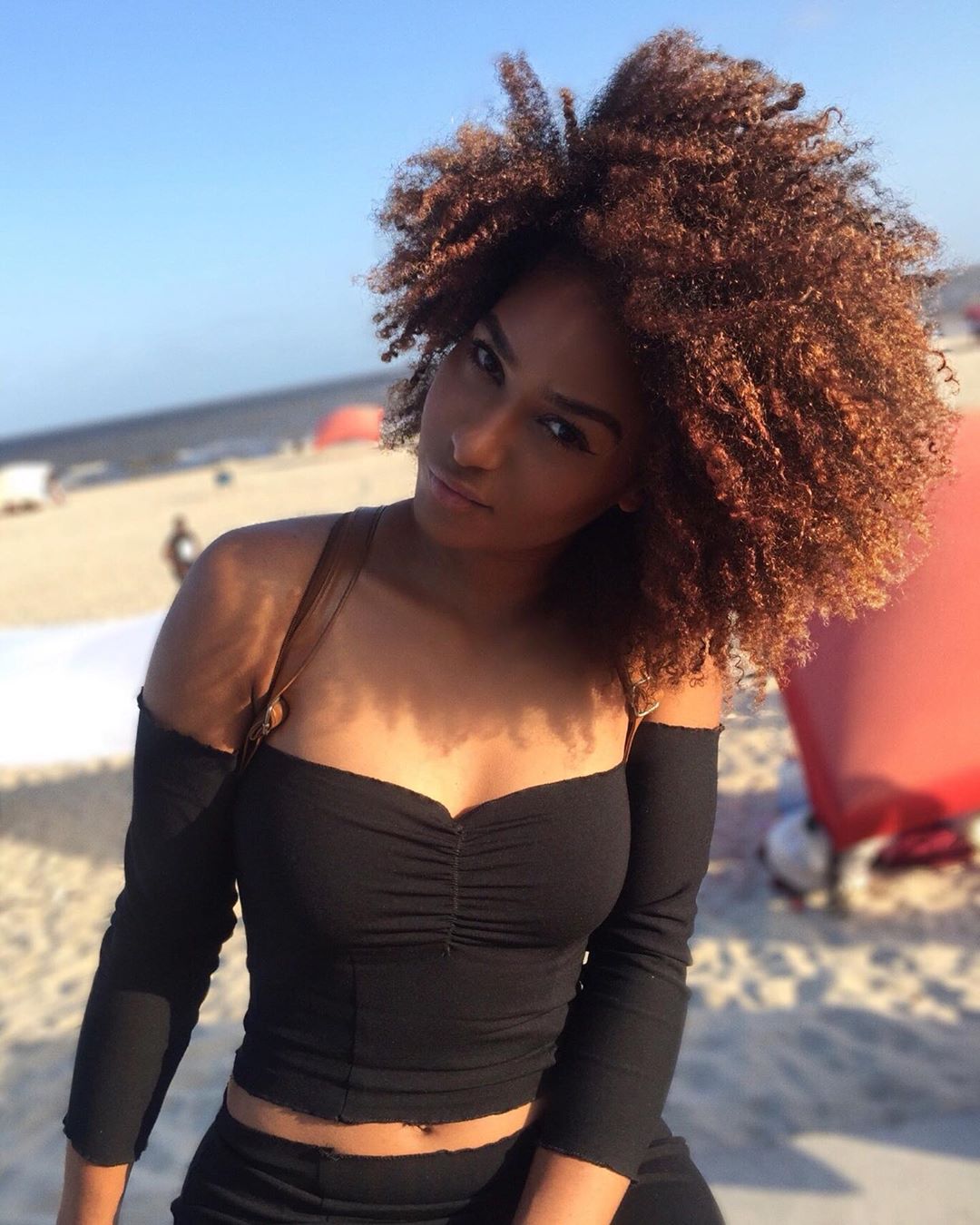 palomavaitierre-3.jpg