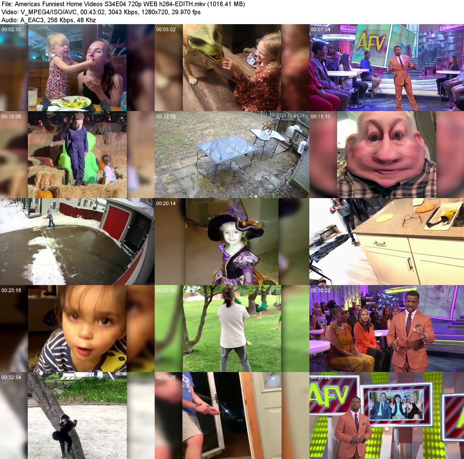 [Image: h4je4ly6ul4f.jpg]