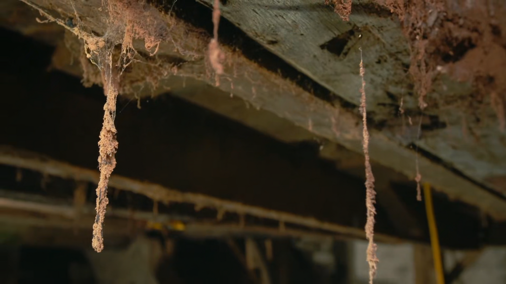 [Image: ohqhp9n9fa66.png]