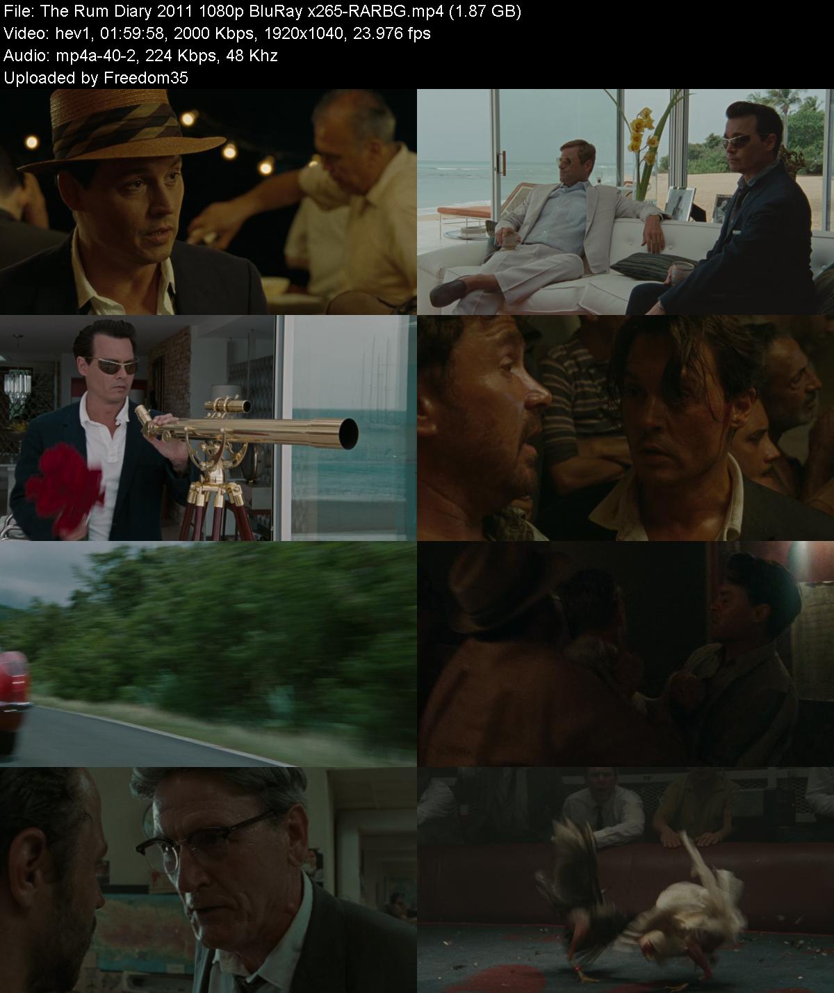 The-Rum-Diary-2011-1080p-Blu-Ray-x265-RA