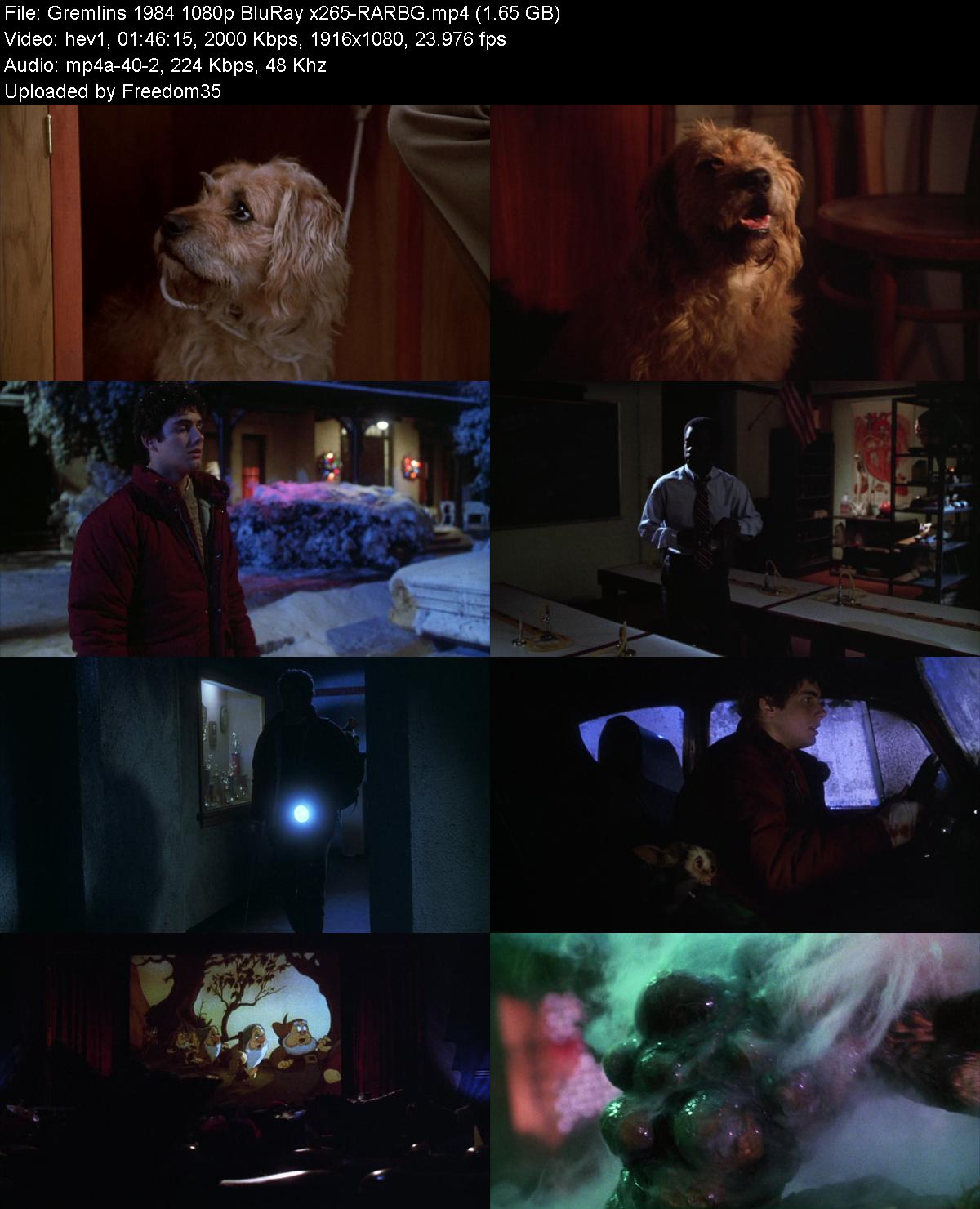 Gremlins-1984-1080p-Blu-Ray-x265-RARBG.j
