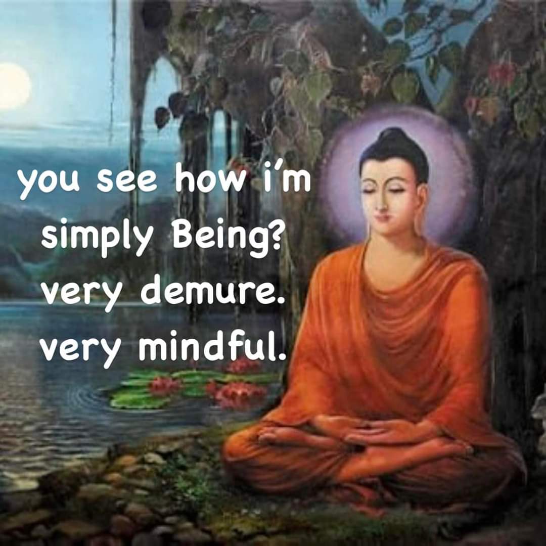 Image supplied by a user.
