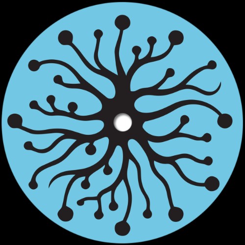 00-mattias-el-mansouri-sense-data-phonic