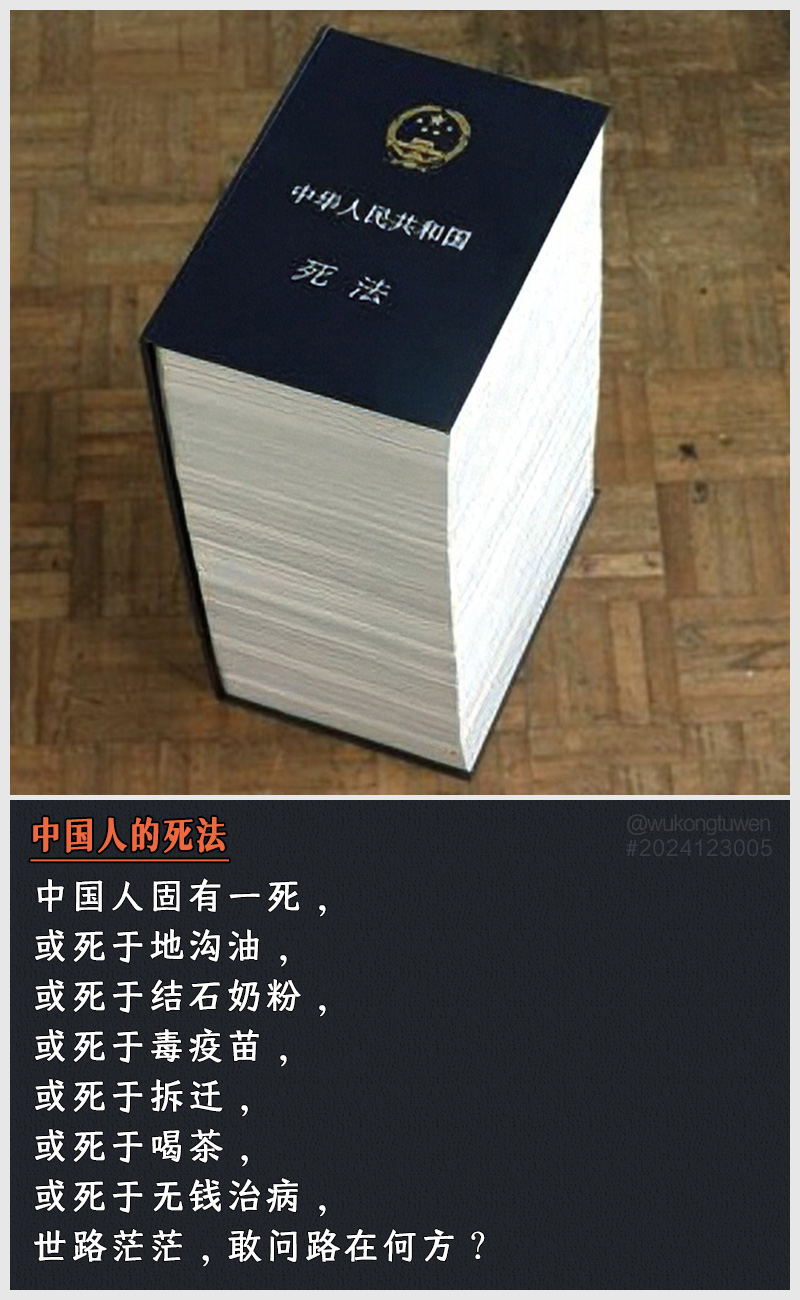 https://i.postimg.cc/Dv7SXRwP/2024123005.jpg