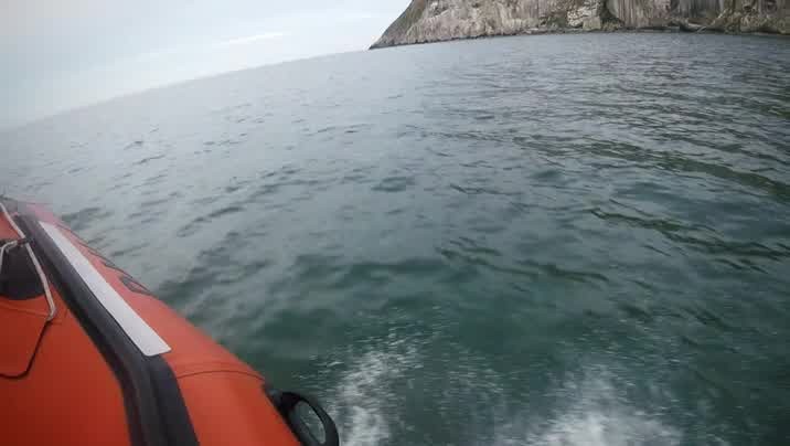 [Image: 7joq18j2dmis.jpg]