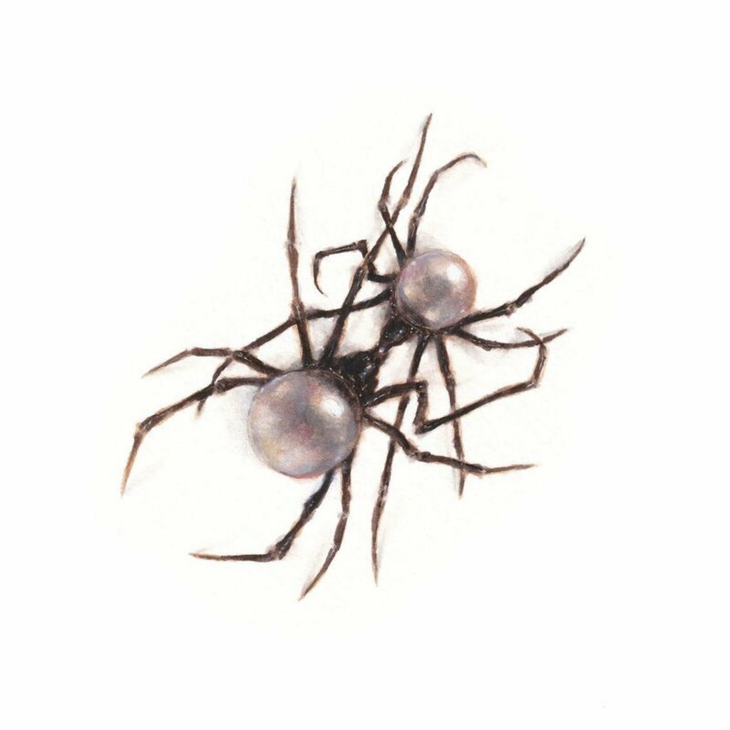 [Image: z51jd2pai2ta.jpg]