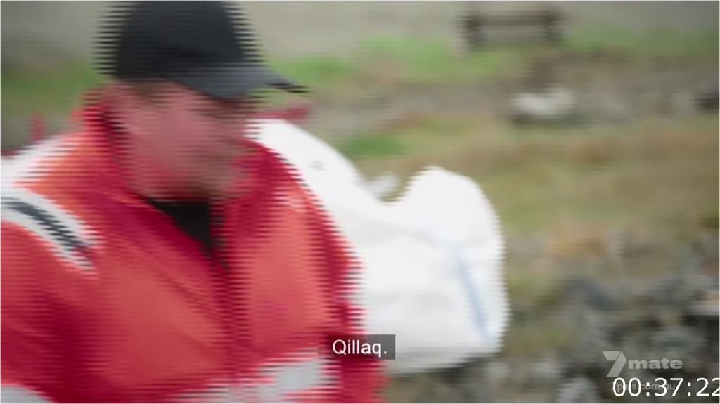 [Image: dbl3i22hzdj8.png]