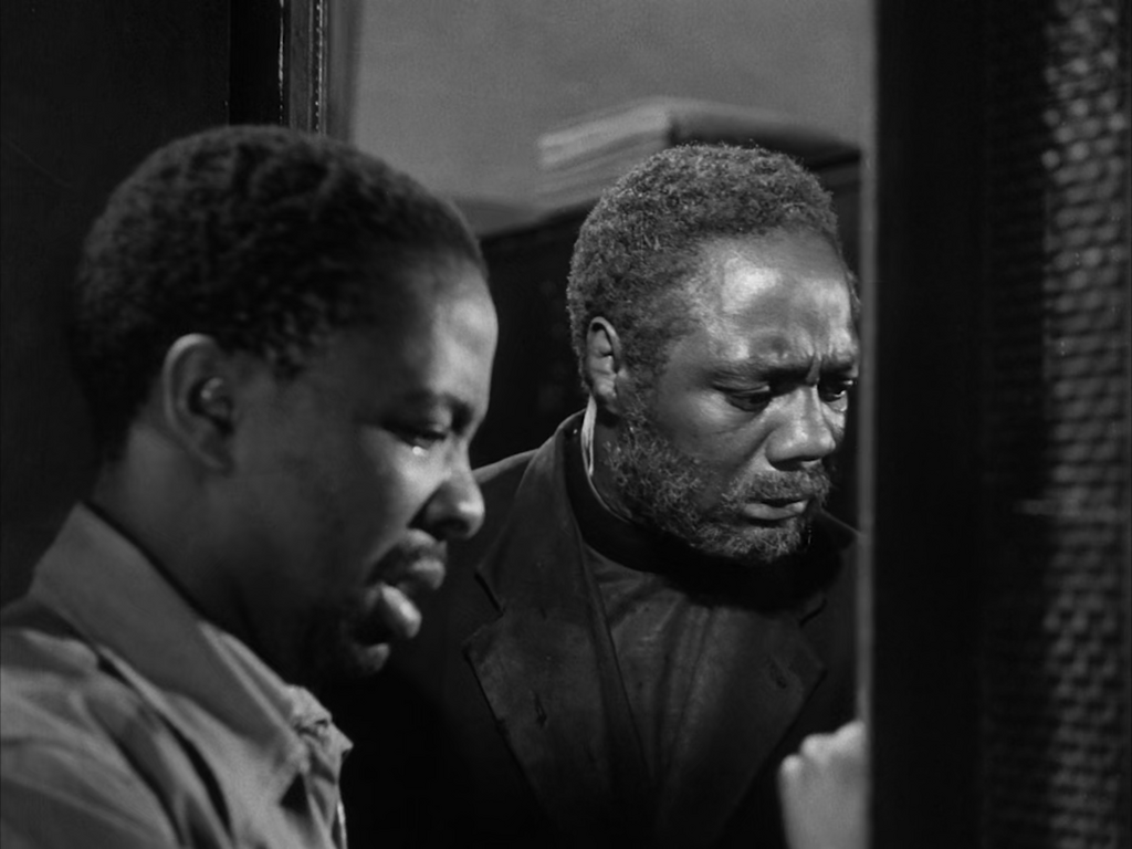 [Image: csvgc0250wlt.png]