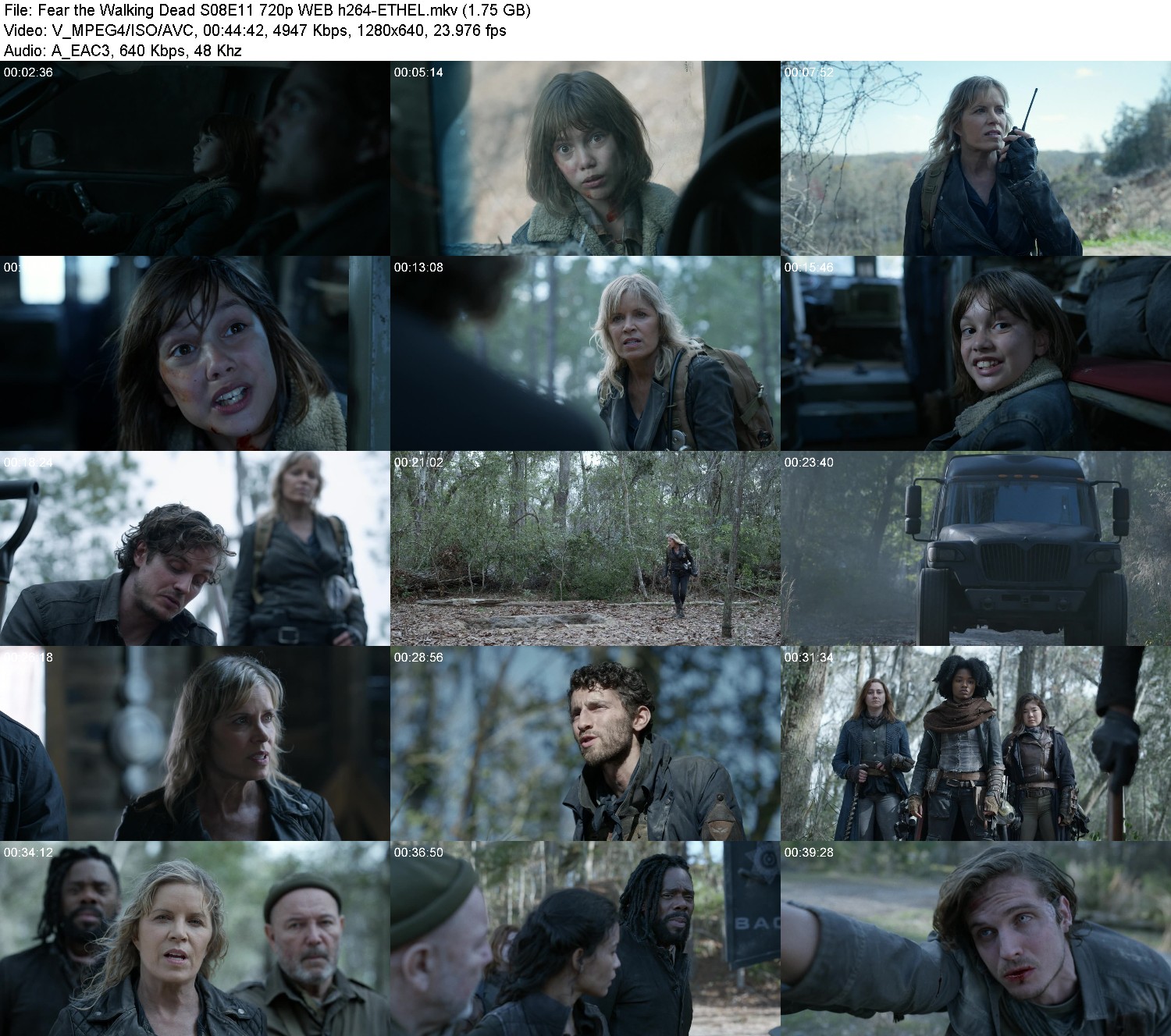 [Image: iga199fmywa4.jpg]