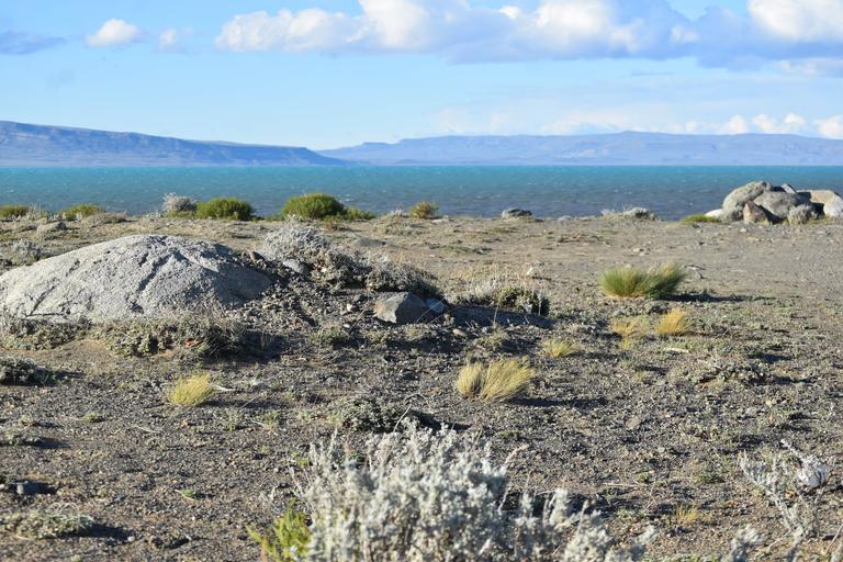 В джазе только девушки или аргентинско-бразильский калейдоскоп В джазе только девушки или аргентинско-бразильский калейдоскоп