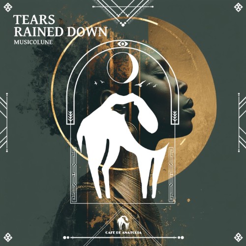 00-musicolune-tears-rained-down-cdarec19
