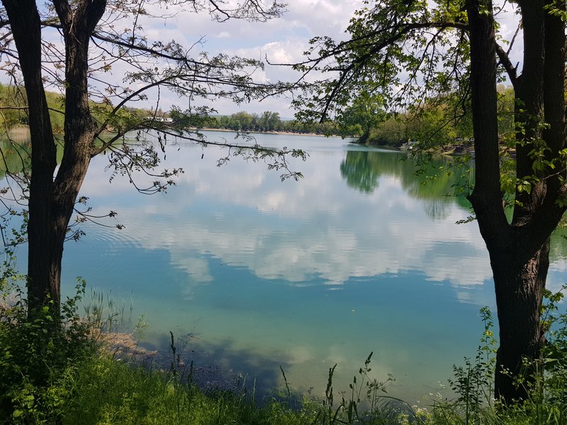 Slika