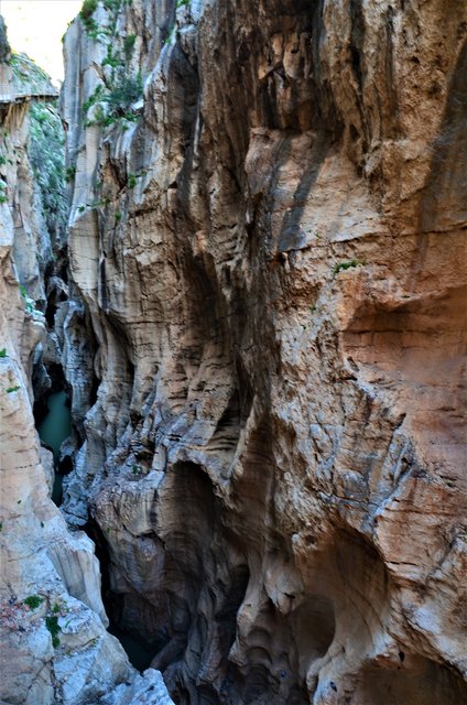 DESFILADERO DE LOS GAITANES (CAMINITO DEL REY)-8-3-2017 - Málaga y sus pueblos-2009/2017 (20)