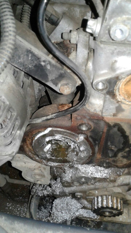 WhatsApp Image 2016-08-04 at 13.14.46