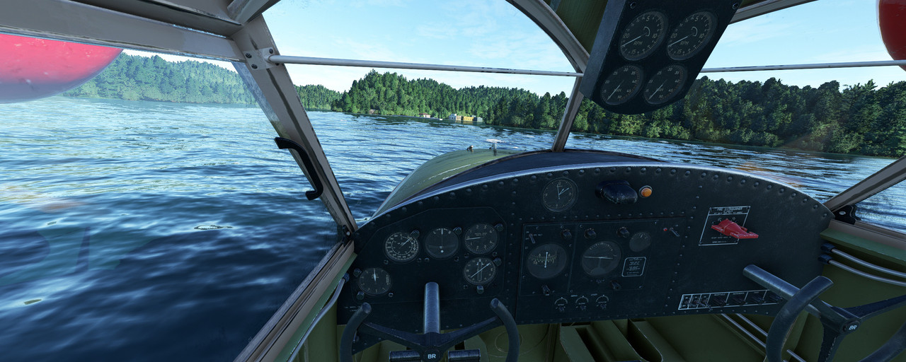 Goose-10.jpg
