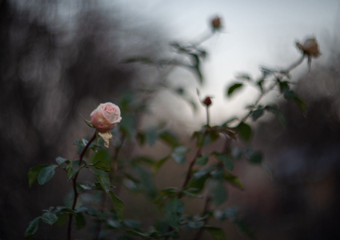 IMG-5710f741576c78a241babed094052f16-V