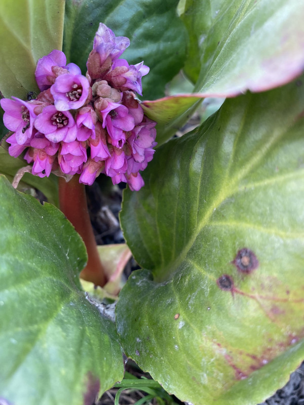 7B1F73EA-A45A-43DF-B245-7A8DE47529E6