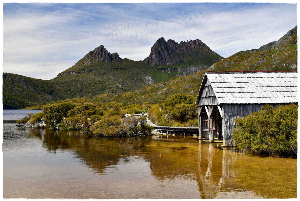 Cradle Mountain National Park - Australia (II): Recorriendo Tasmania (34)
