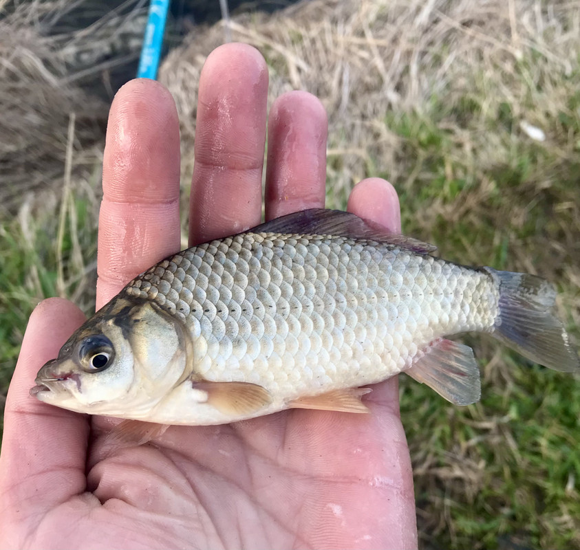 A010D745-2BC4-41BB-815A-54631B75CB12