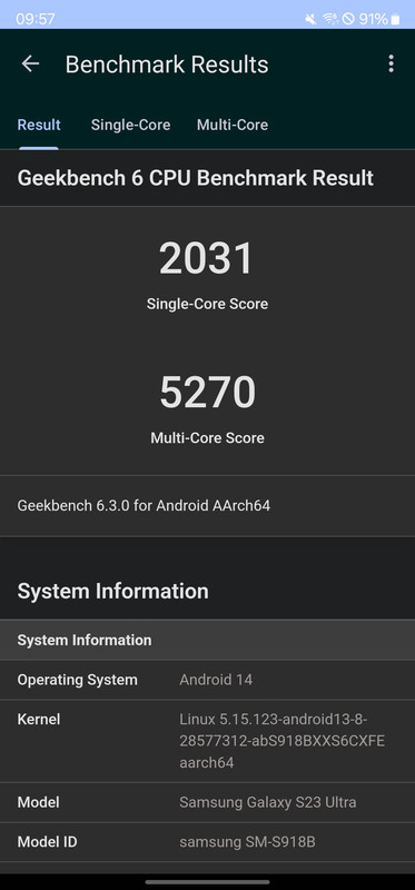 Screenshot_20240730_095707_Geekbench 6