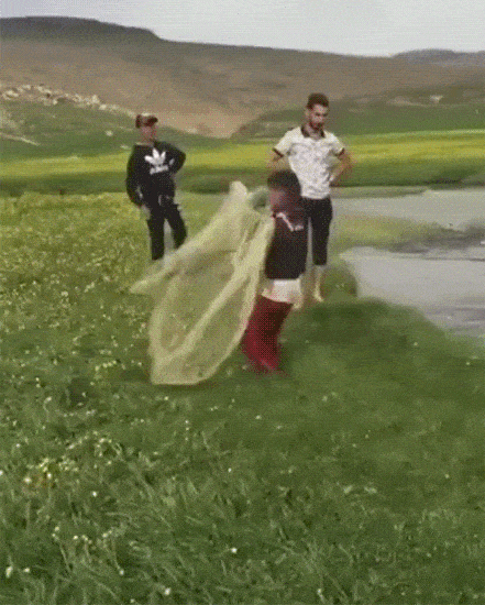 daily-gifdump-3344-07.gif
