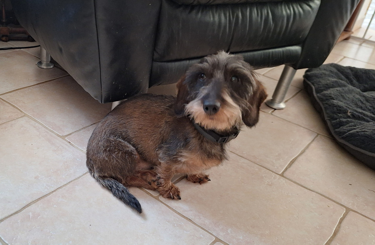 [Image: 20251126-093408.jpg]