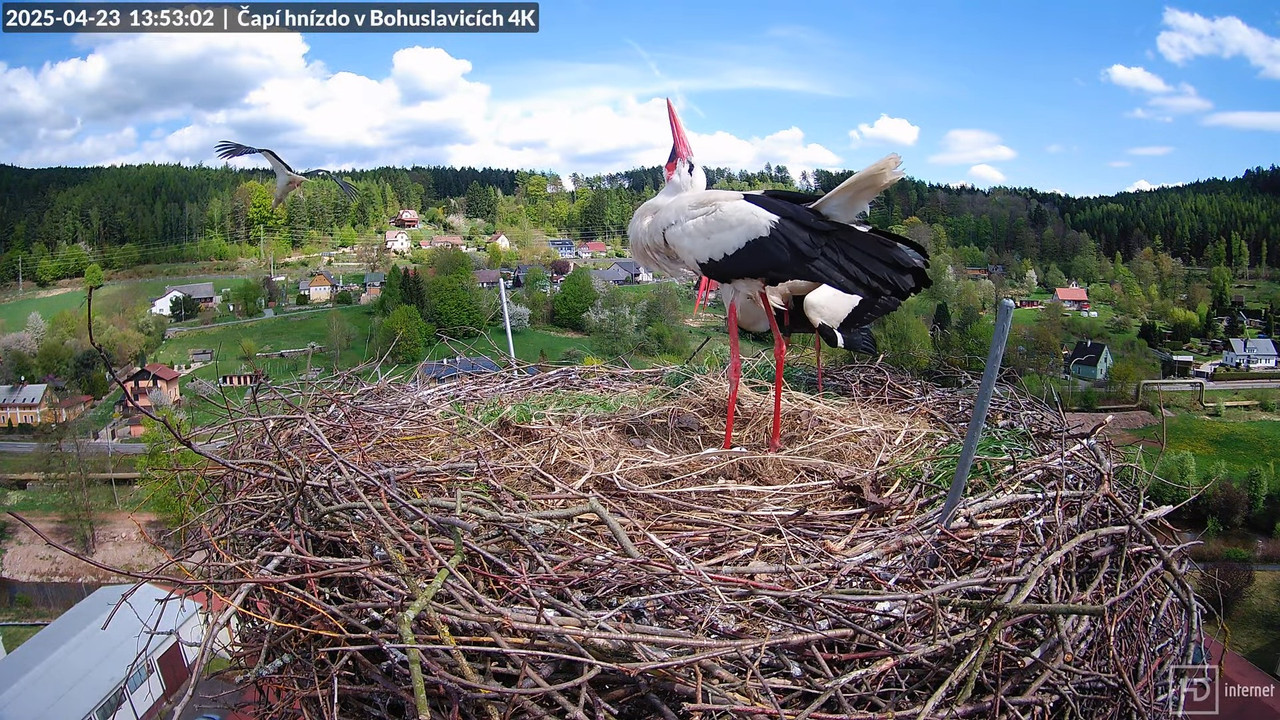 Tiešraidē no uzņēmuma KARA stārķa skursteņa Bohuslavicē pie Trutnovas 17-23-23 screenshot