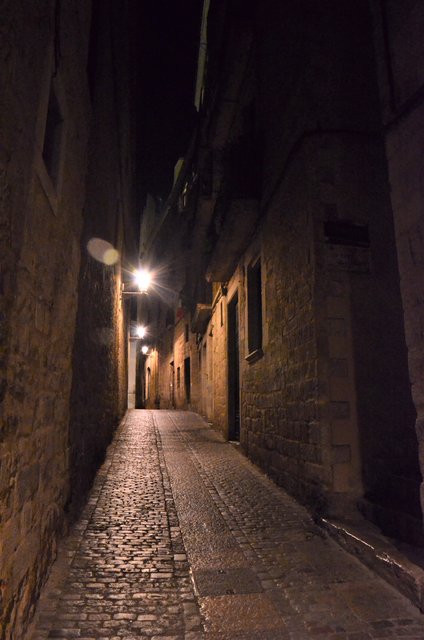 GERONA-20-11-2017 - Gerona y sus pueblos-2016/2017 (4)
