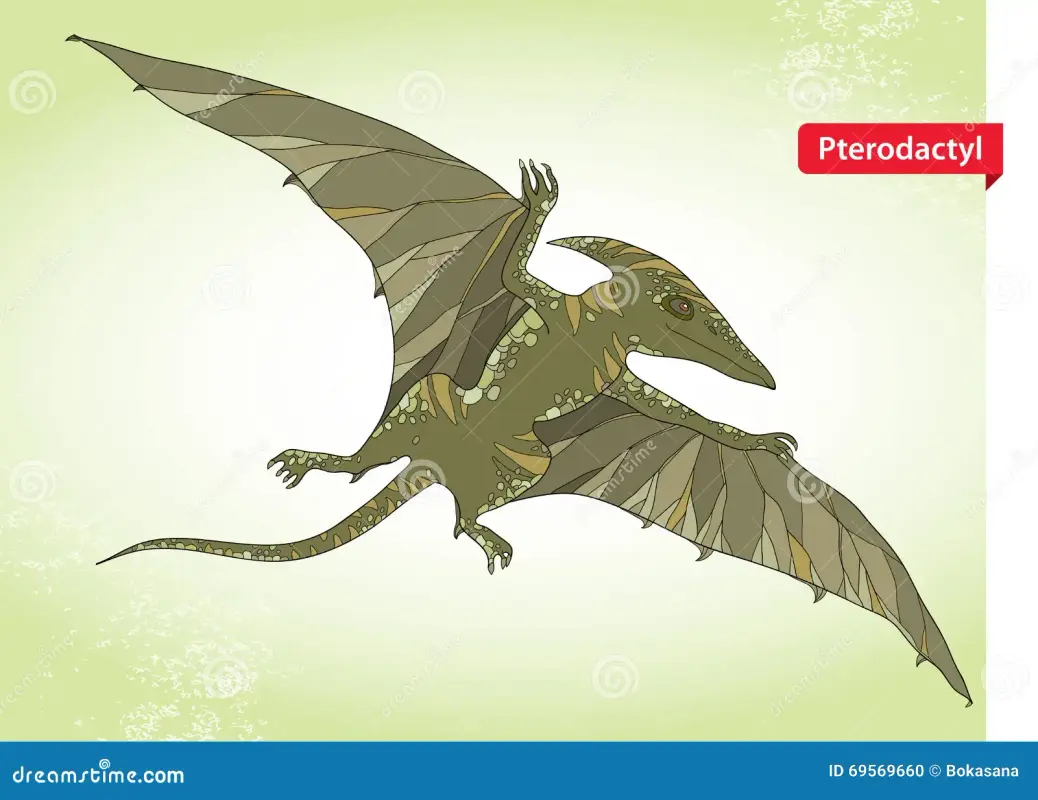 vector-и-юстрация-ящерицы-pterodactyl-и-и-кры-а-от-suborders-pterosaurs-на-зе-еной-пре-69569660