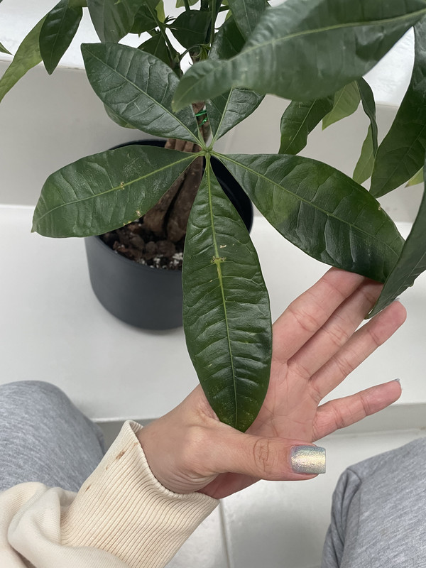 C700DE60-D93E-485A-9858-4090FF40E2A9