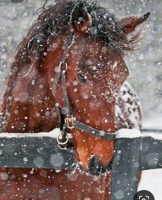 Screenshot_20230314_220027_Pinterest