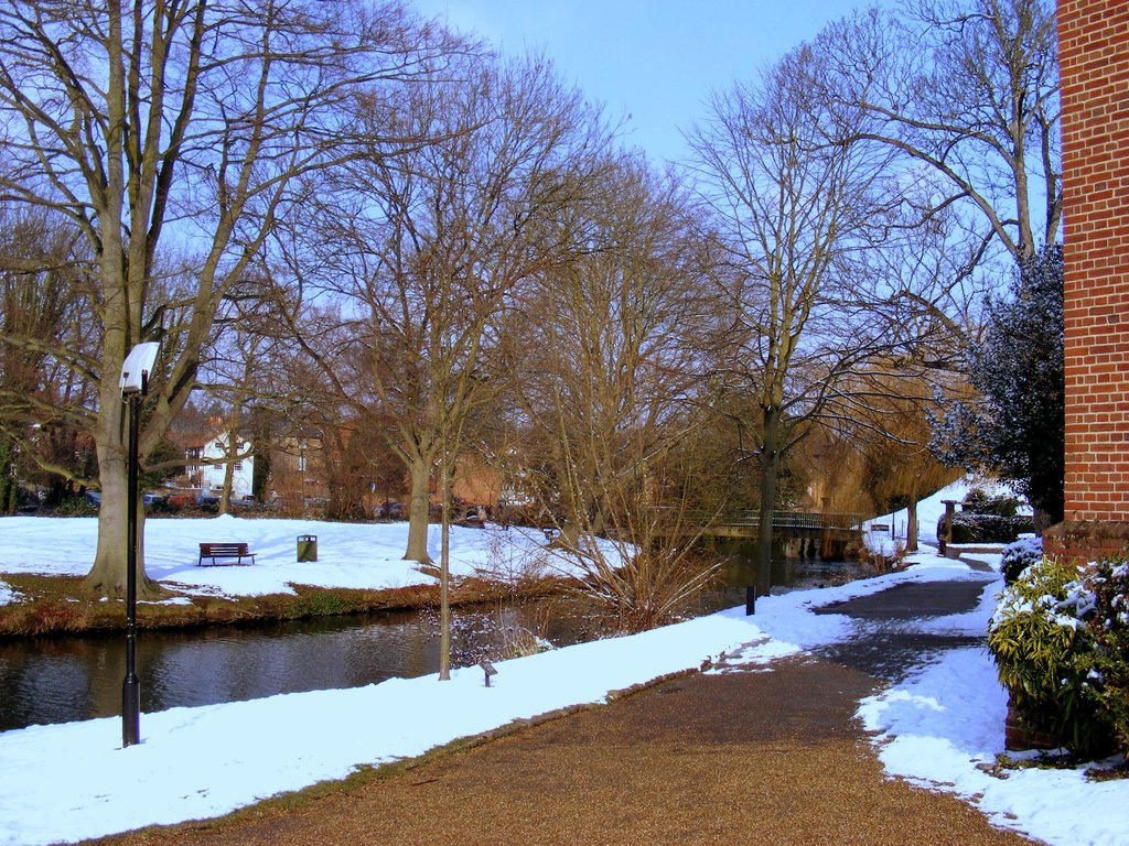 DSCF6781.jpg