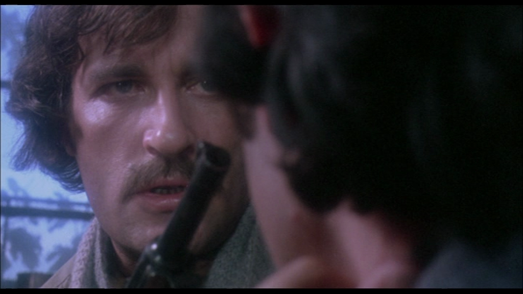 vlcsnap-2018-11-10-23h52m07s384