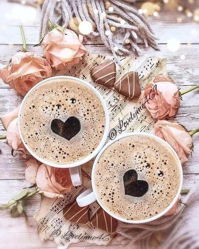 423943976_787417543403653_8294623336849031928_n