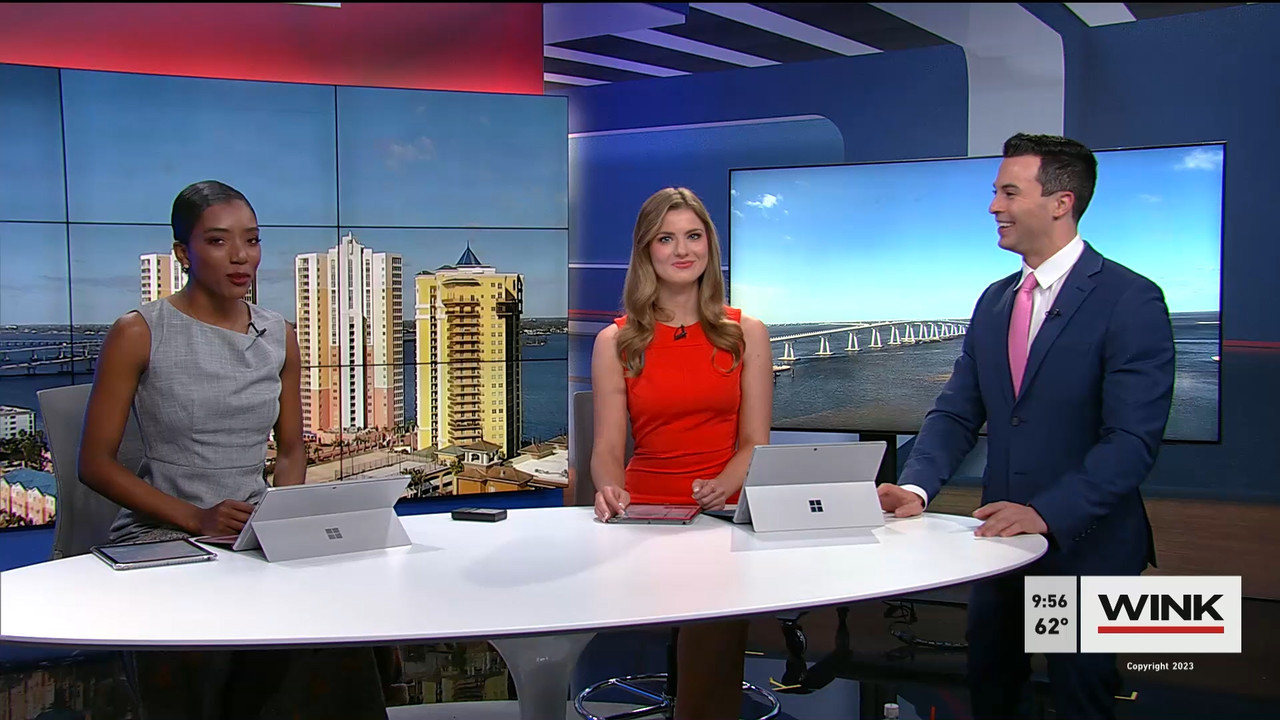02.04 - 14.00.00 - WINK News at 9 00AM  ᴺᵉʷ. Morning news.ts_snapshot_01.03.06.234