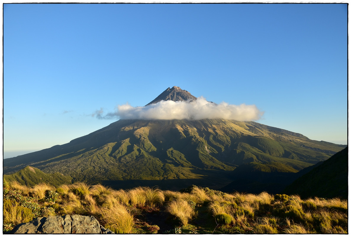 Escapadas y rutas por la Nueva Zelanda menos conocida - Blogs de Nueva Zelanda - Egmont / Taranaki NP: Pouakai Circuit (marzo 2021) (20)