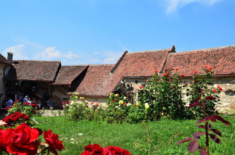 Rumanía y sus pueblos-2015 - Blogs de Rumania - Rasnov-7-8-2015 (19)