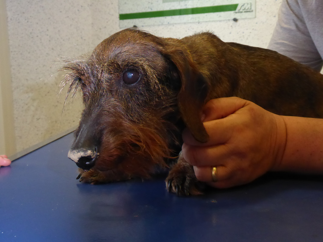 [Image: P1040880.jpg]