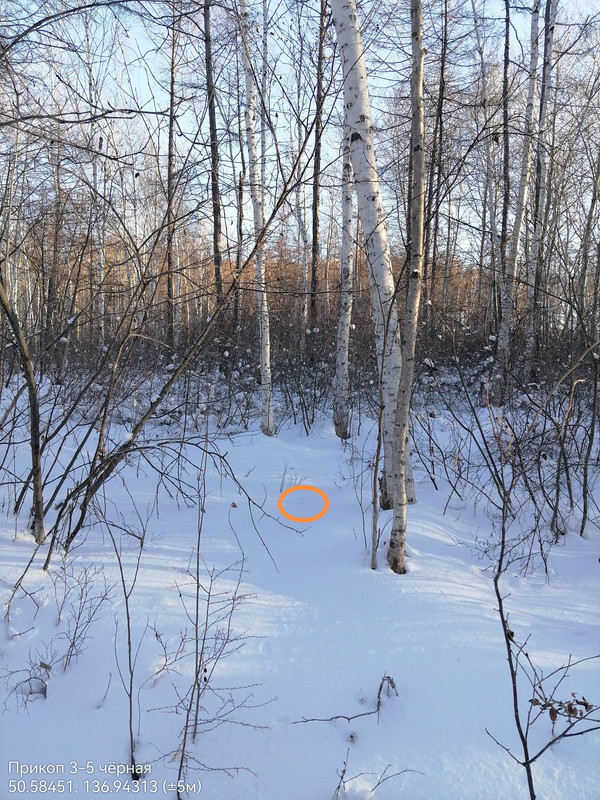 Прикоп 3 5 чёрная 12122025 152421 edit 2245553711636