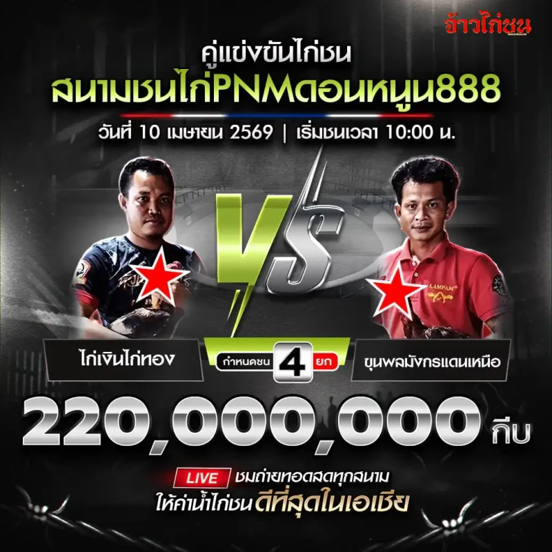 น้องมาวิน ต้นมีชัย พบ ไก่เงินไก่ทอง สนามชนไก่ PNM ดอนหนูน888
