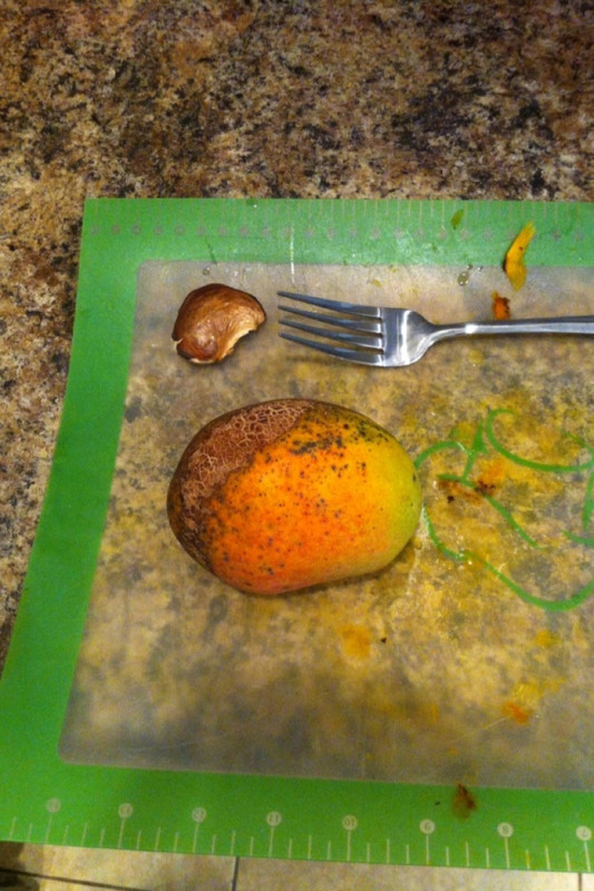 3b7aeea04cf2abba804bcfa58d9a1b80