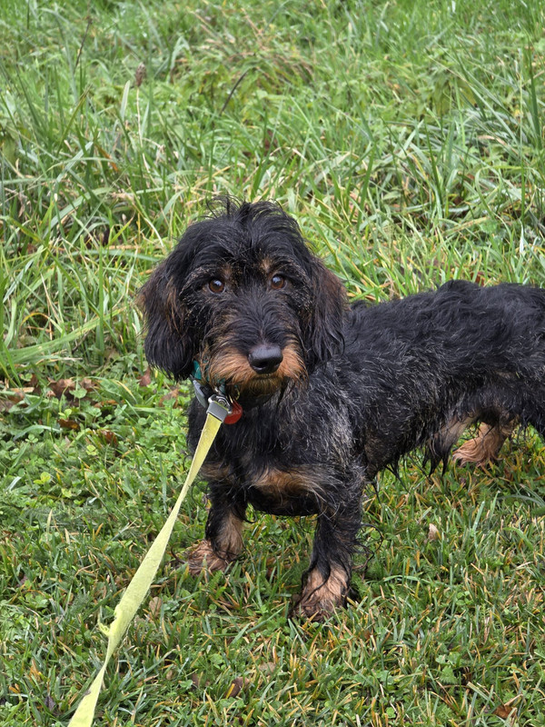 [Image: IMG-20251110-WA0018.jpg]